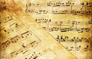 古典音乐中的严谨节奏处理：聆听历史的华章